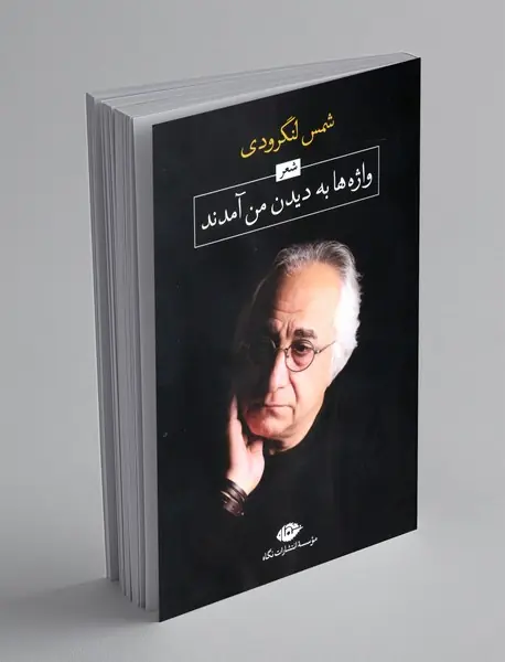 واژه ها به دیدن من آمدند