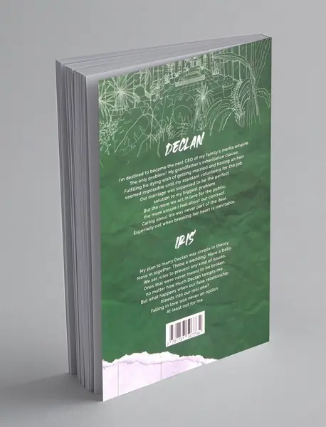 Dreamland Billionaires 2 : Terms And Condıtıon