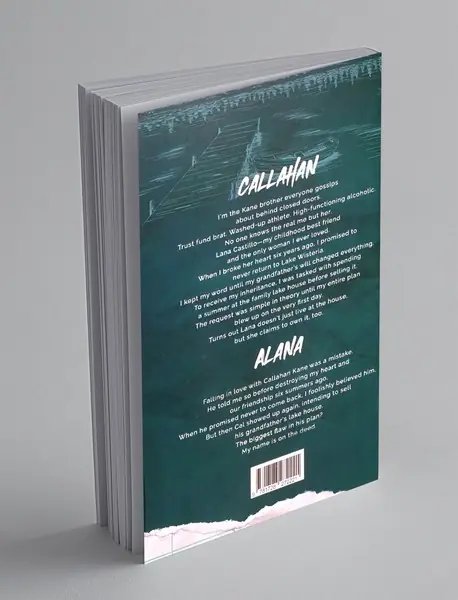 Dreamland Billionaires 3 : Final Offer