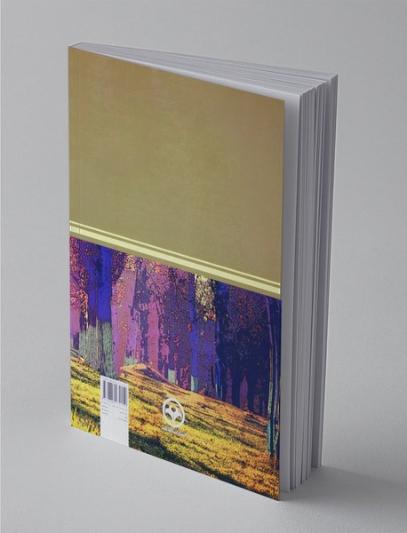 روان شناسی بزرگسالان