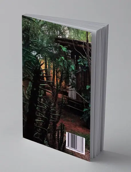 برای نویسنده شدن