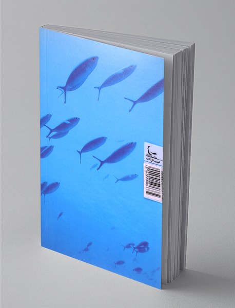 وضعیت بی‌عاری