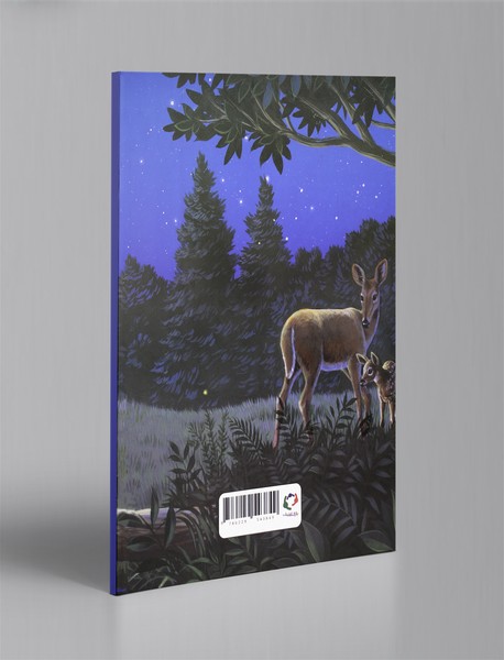 چستر راکون و جیب پر از بوسه