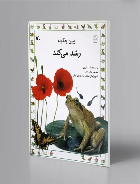 ببین چگونه رشد می‌کند