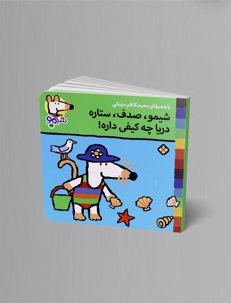 شیمو، صدف، ستاره دریا چه کیفی داره