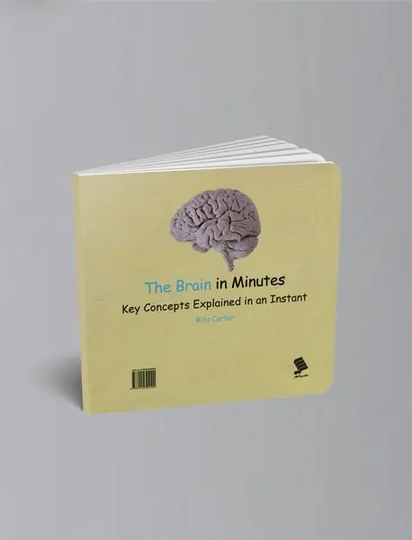 مغز انسان در چند دقیقه