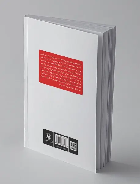 دیوانه‌ای در شهر