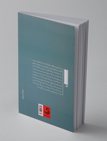 تاریخچه‌ی جنبش حقوق زنان در آمریکا