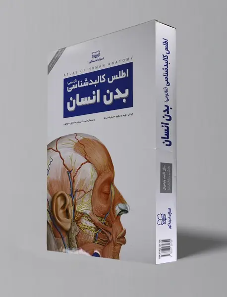 اطلس کالبدشناسی بدن انسان