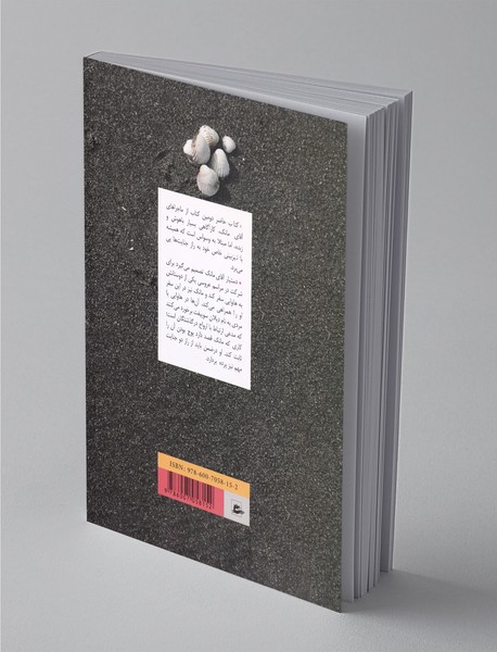 آقای مانک به هاوایی می‌رود