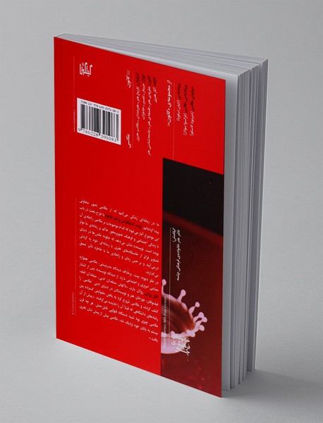 بارت، استیگلیتس و هنر خاطره