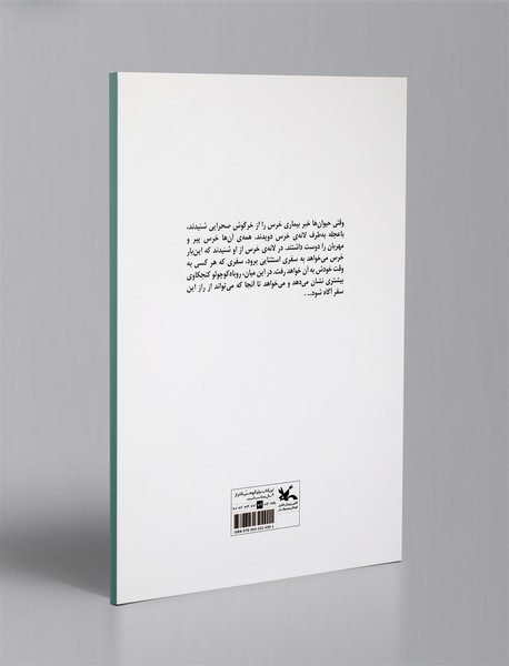 آخرین سفر خرس