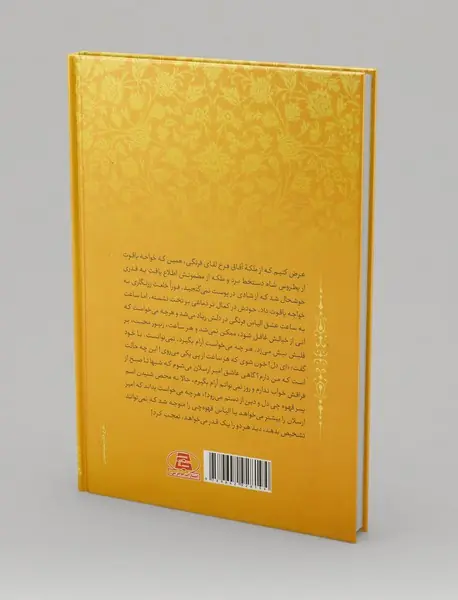 امیرارسلان نامدار