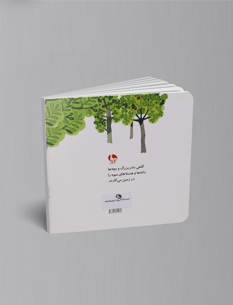 دانه‌ی زندگی