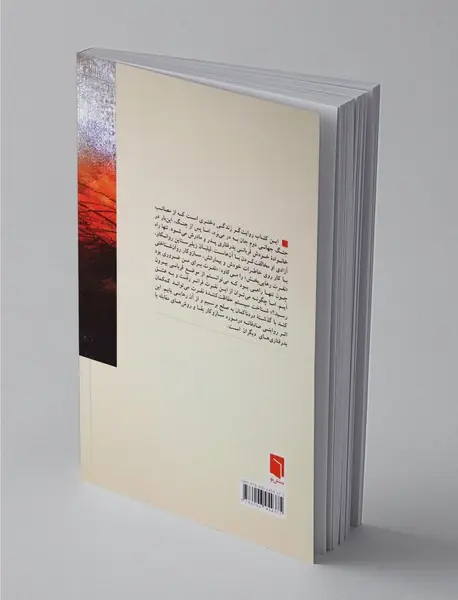 روایت یک کودکی سخت