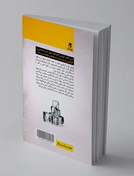 به اسکیمو یخ بفروش