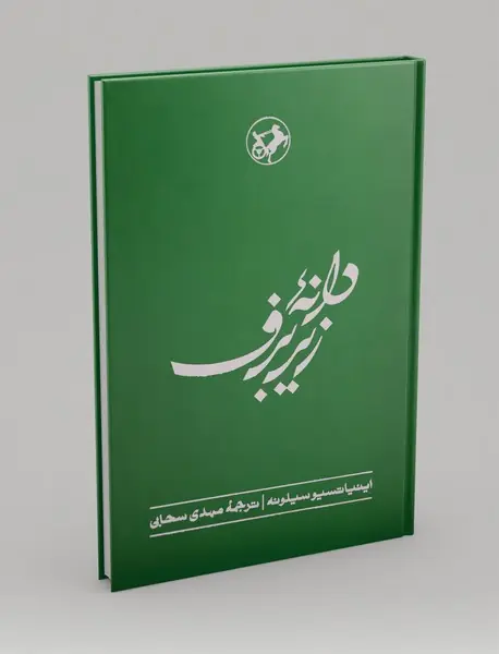 دانه ای زیر برف