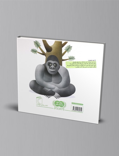 درباره‌ی جنگل