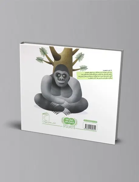 درباره‌ی جنگل