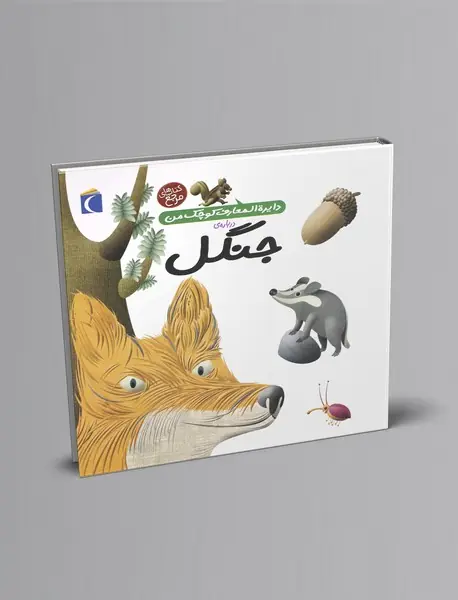 درباره‌ی جنگل