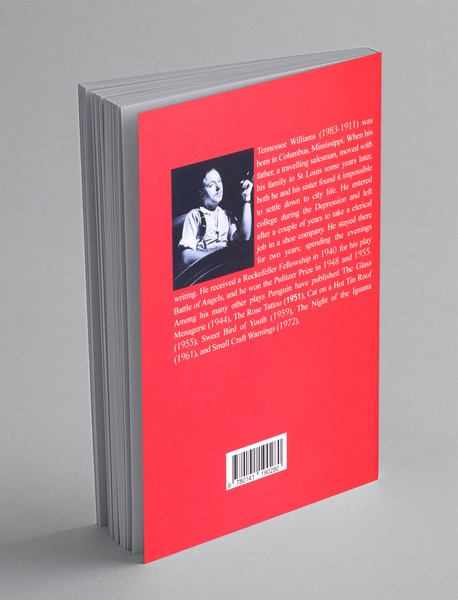 Cat On a Hot Tin Roof