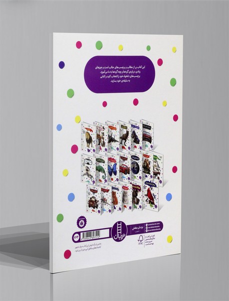 گربه ها و بچه گربه ها