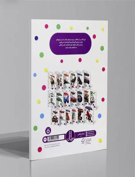 گربه ها و بچه گربه ها