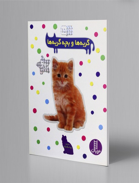 گربه ها و بچه گربه ها