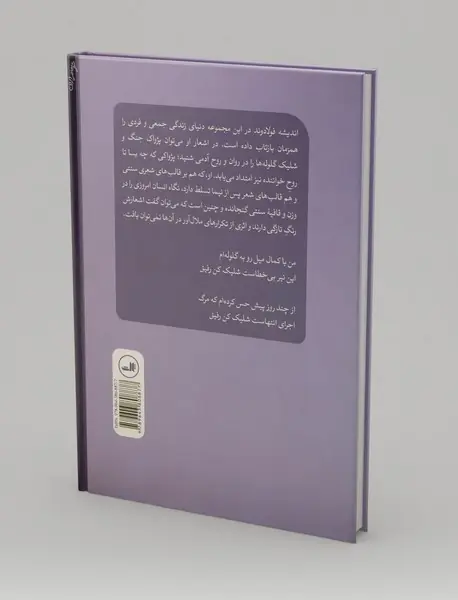 شلیک کن رفیق