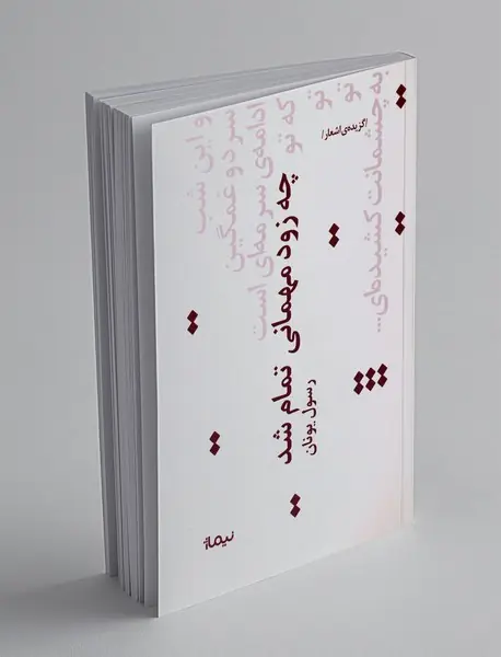 چه زود مهمانی تمام شد