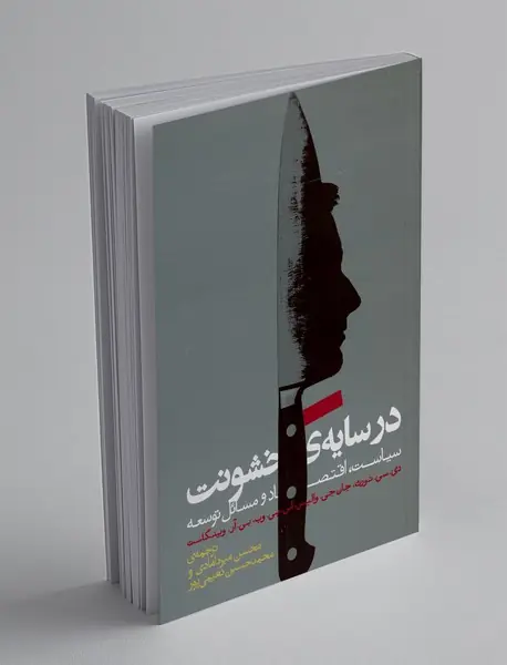 در سایه ی خشونت