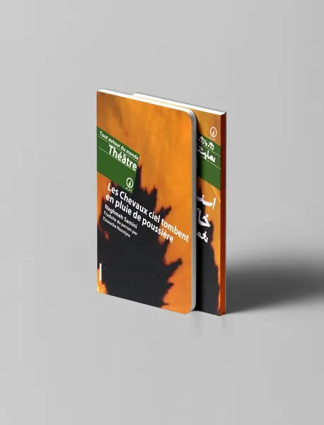 اسب های آسمان خاکستر