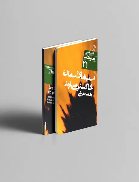 اسب های آسمان خاکستر