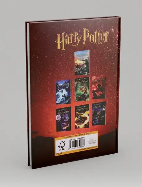 Harry Potter 4/1: and the Goblet of Fire