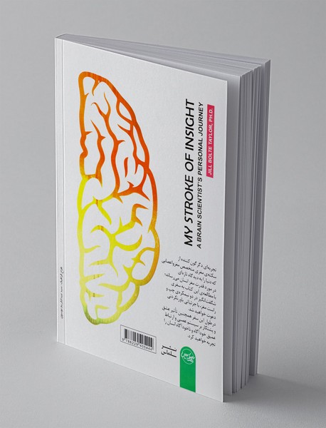 قدرت اعجاب‌انگیز نیمکره‌های مغز