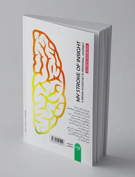 قدرت اعجاب‌انگیز نیمکره‌های مغز