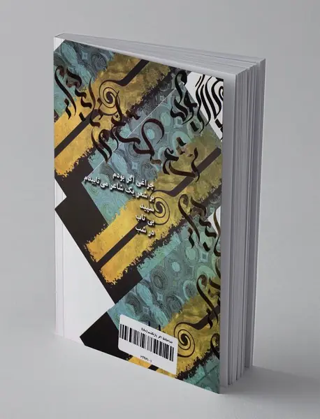 خداحافظ اگر باز نگشتم