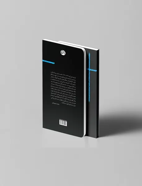 ولتر: نوشته‌های سیاسی