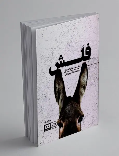 فلش