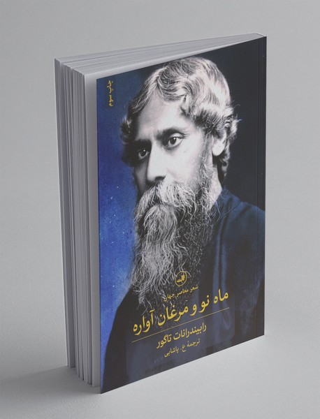 ماه نو و مرغان آواره