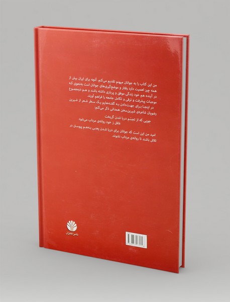 در پرتگاه حوادث