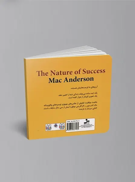 ماهیت موفقیت