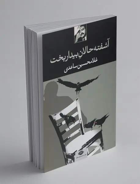 آشفته حالان بیداربخت