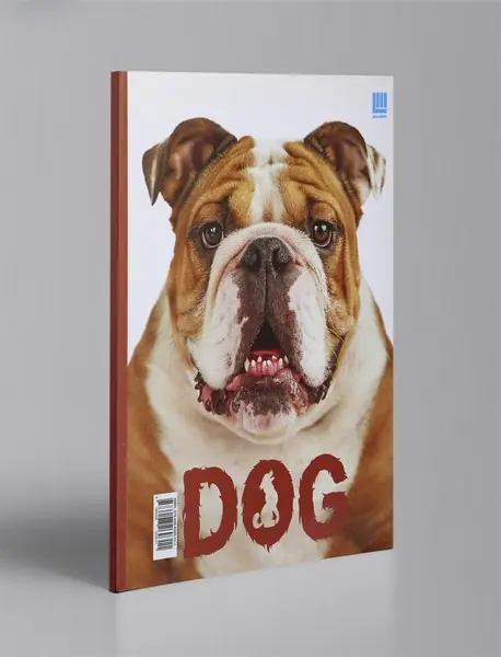 دانشنامه مصور دنیای شگفت‌انگیز سگ‌سانان