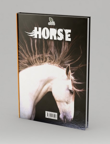 دانشنامه مصور دنیای شگفت انگیز اسب