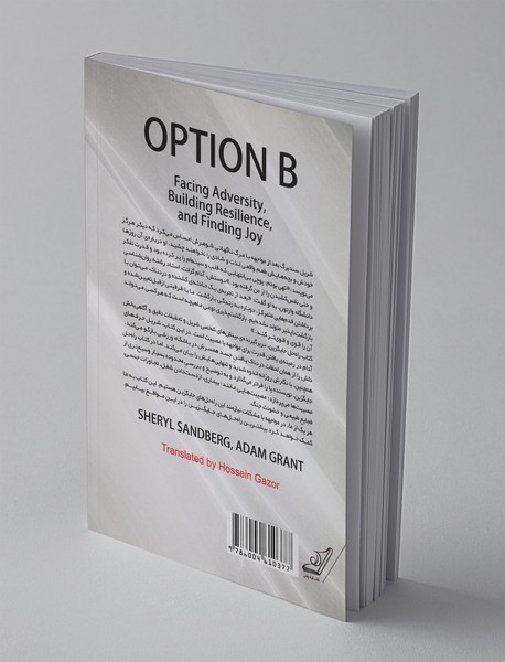 راه حل جایگزین