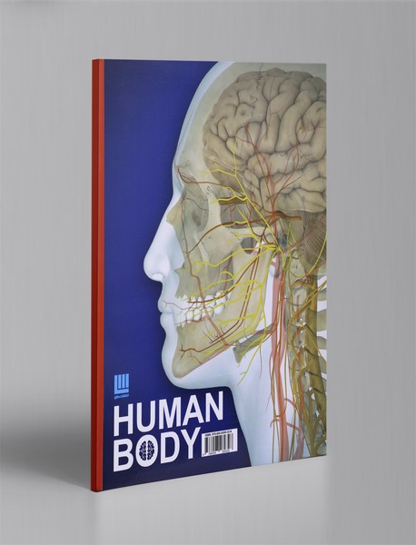 دانشنامه مصور بدن انسان