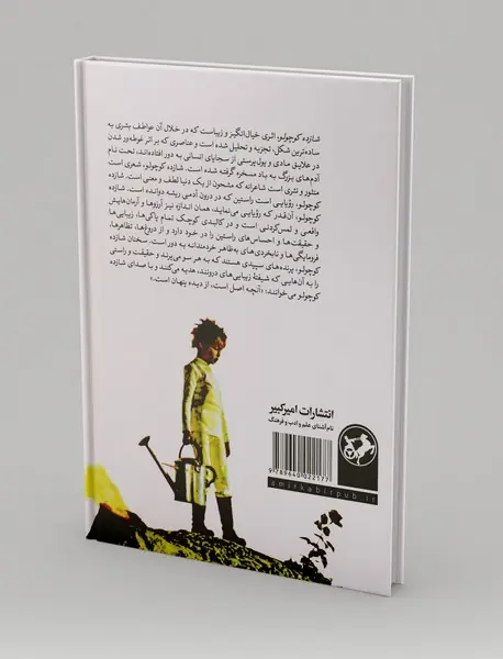 شازده کوچولو