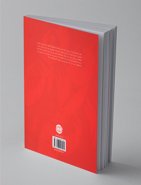 من بن لادن را کشتم