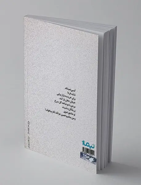 دو لک لک بی‌خواب